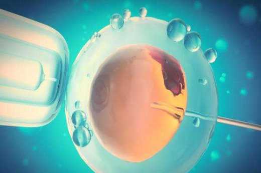 百果园商业模式解析与特许加盟策略